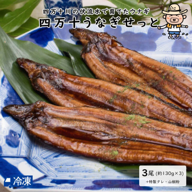 四万十うなぎせっと<3尾>
