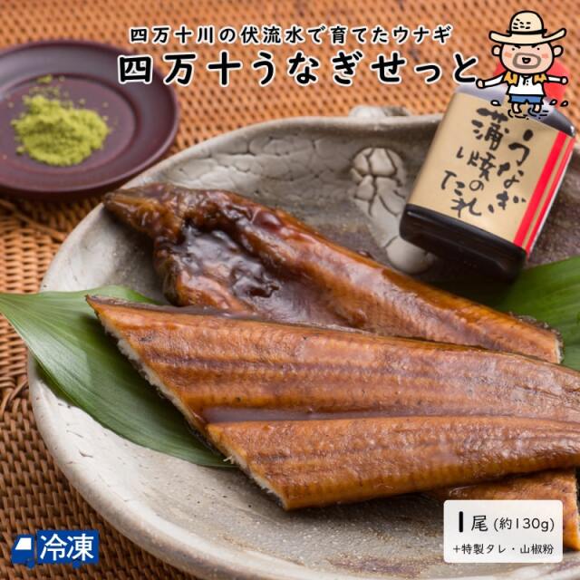 四万十うなぎせっと<1尾>