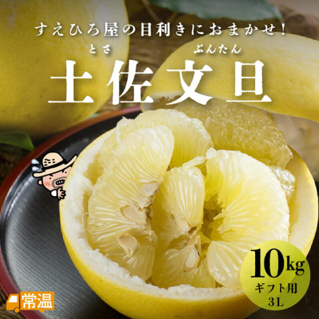 土佐文旦 ギフト用 3L 10kg