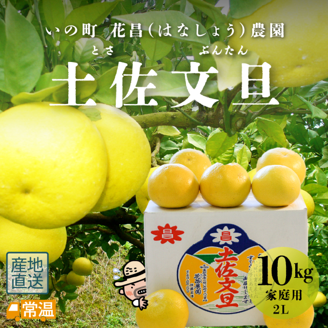 花昌家庭用文旦2L19玉