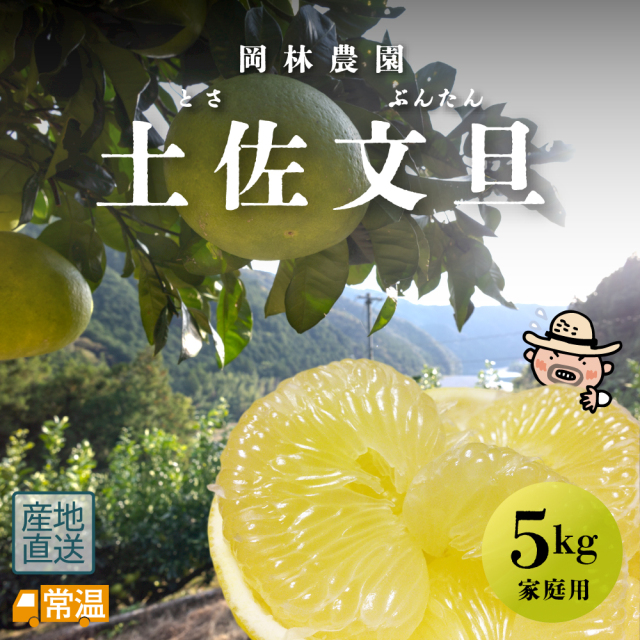 岡林農園 家庭用文旦 3Lまたは4L 5kg