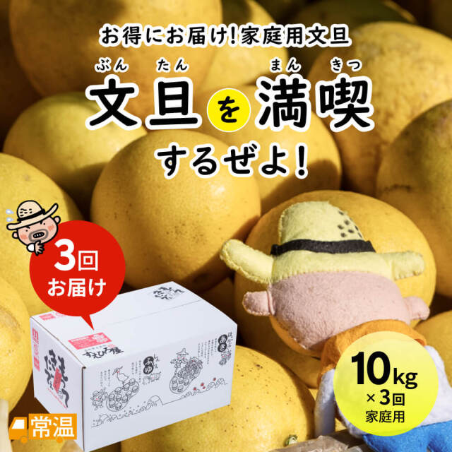 文旦を満喫するぜよ!3回お届け便