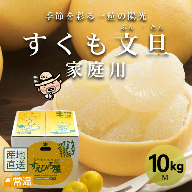 すくも文旦M玉家庭用28玉 【送料無料】