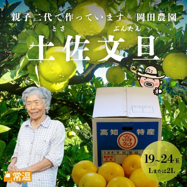 土佐文旦_岡田農園_Lor2L_19~24玉