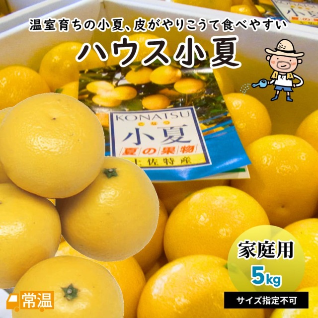 家庭用　ハウス小夏　約5kg（サイズ指定不可）