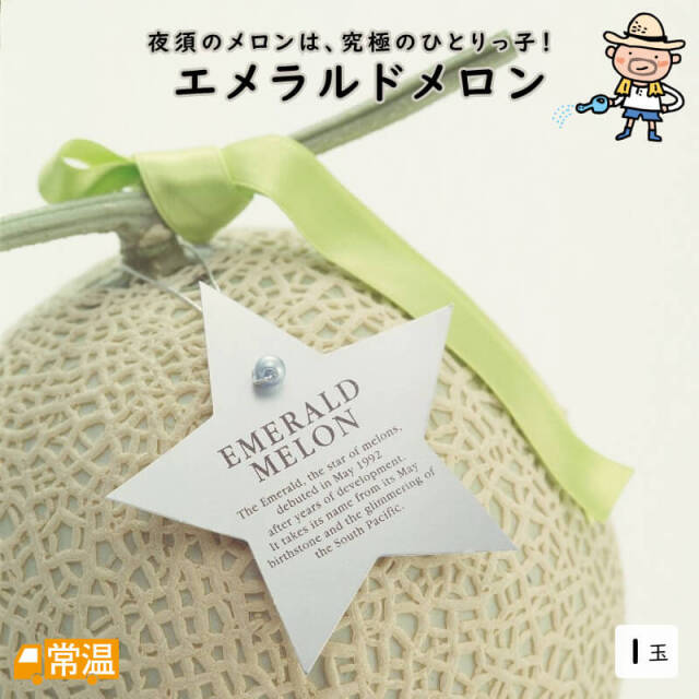 高知産エメラルドメロン(1玉)