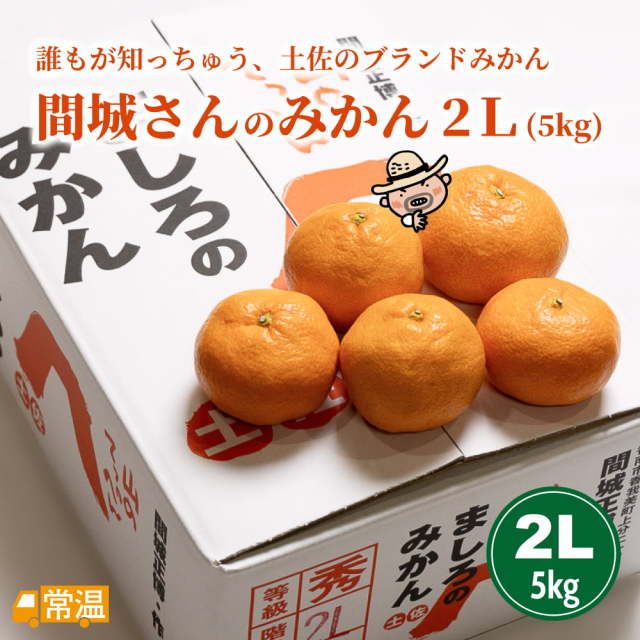 間城さんのみかん 2L・5kg