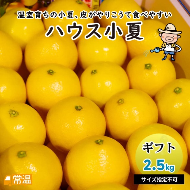 ハウス小夏 ギフト用 2.5kg