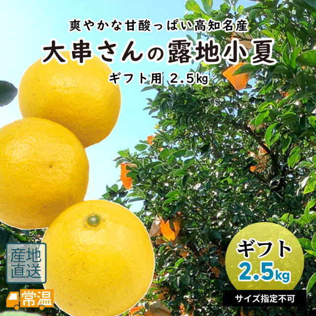 大串さんの小夏 ギフト用2.5?s